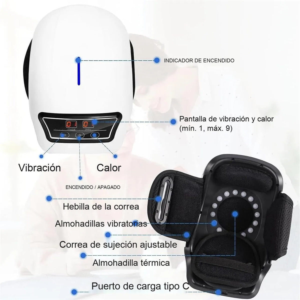 galeria partes